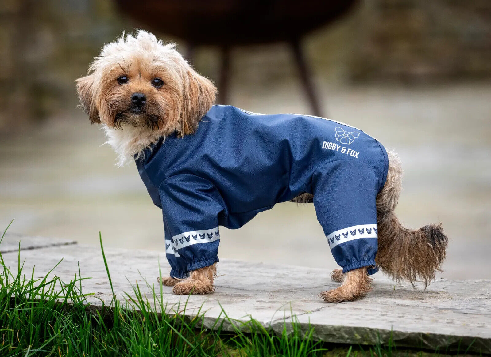 Picture of Shires Digby & Fox Waterproof Cover All Dog Coat | Insulated fill | 9 Sizes