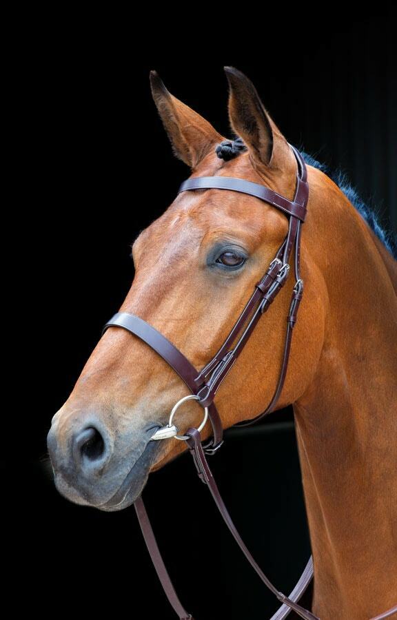 Picture of Shires Salisbury Berrington Horse / Pony Snaffle Bridle |  Black or Aus Nut