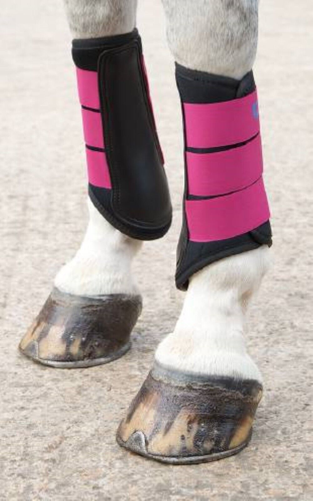 Picture of Shires Arma Neoprene Brushing Boots | 14 Colours | 6 Sizes