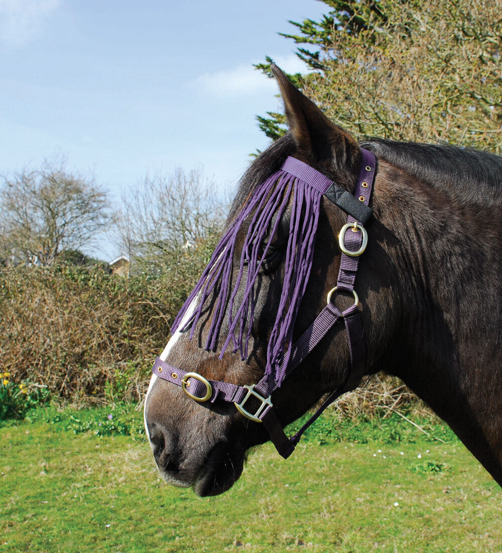 Picture of Rhinegold Fly Fringe | 6 Colours | 3 Sizes