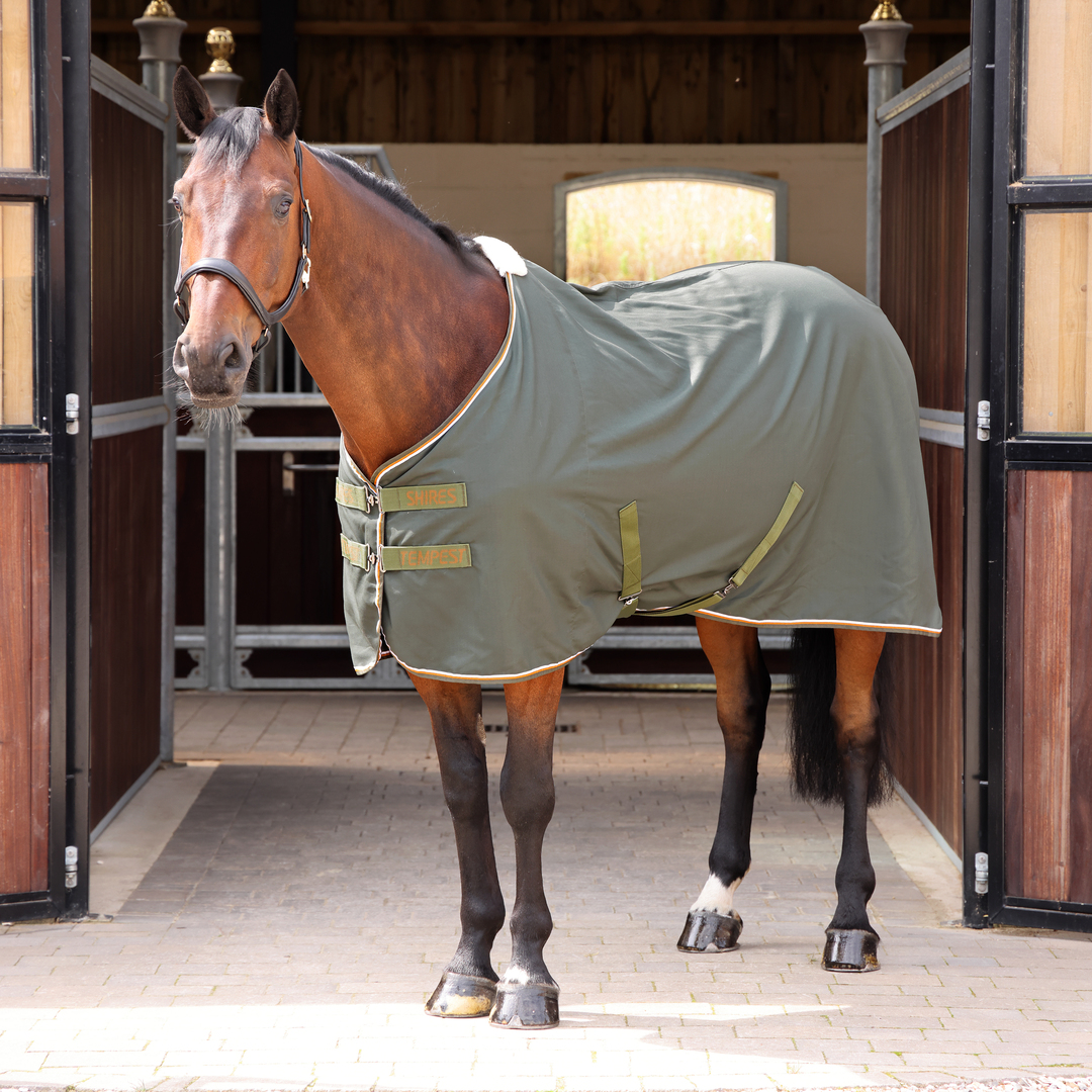 Picture of Shires Tempest Original Horse Stable Sheet |  5 Colours | Sizes 4'6"-7'0"