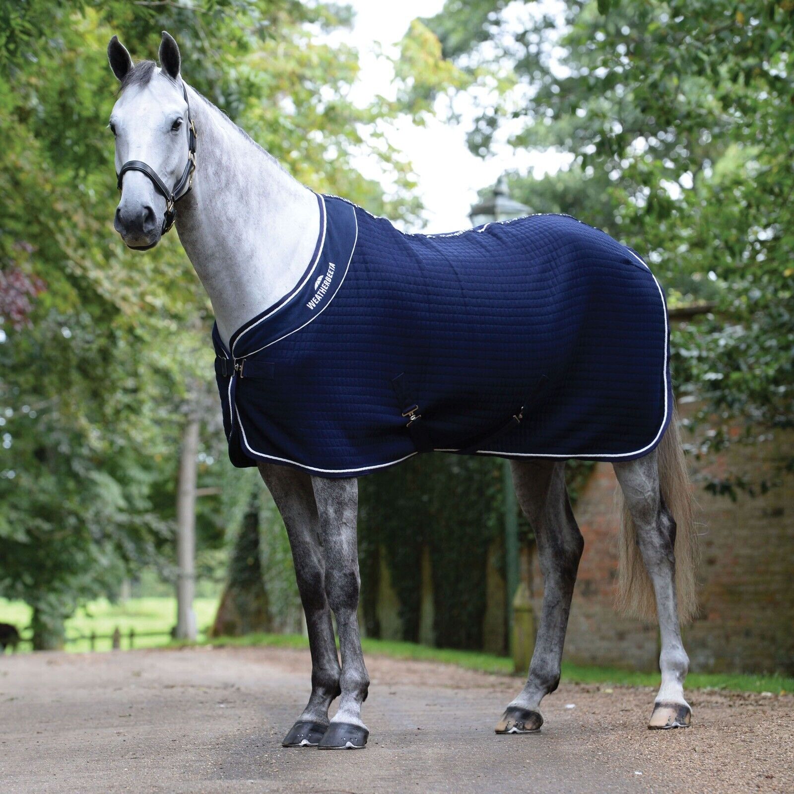 Picture of Weatherbeeta Thermocell Horse Cooler / Travel Rug.  Std Neck