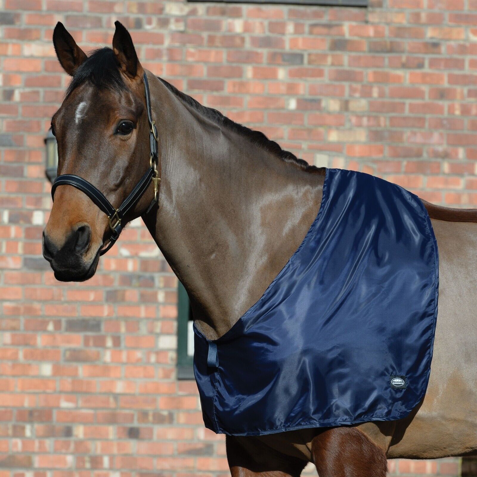 Picture of Weatherbeeta Satin Shoulder Guard,  Show Prep Anti Rub Horse Vest
