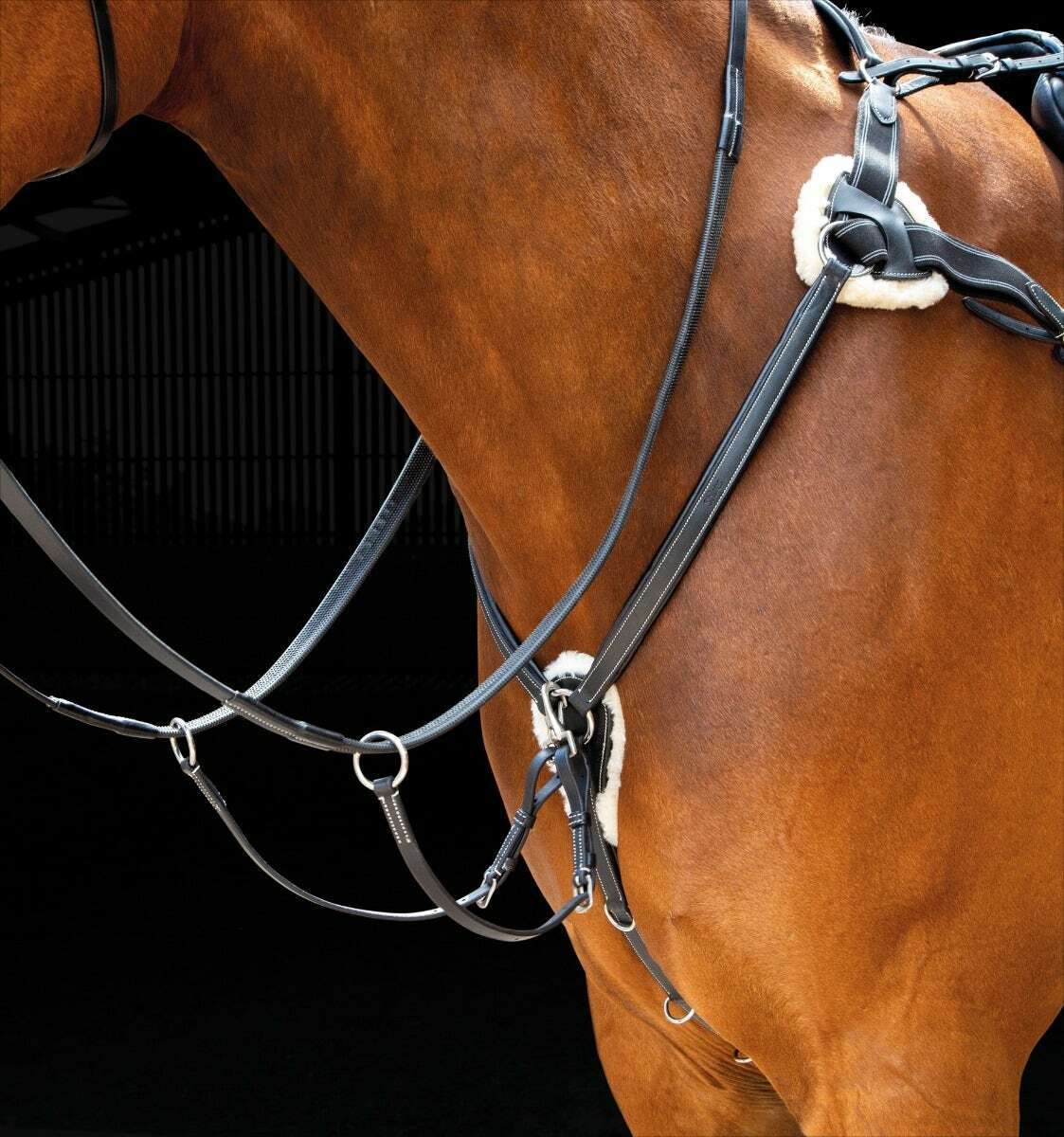 Picture of Shires Salisbury 5 Five Point Leather Breastplate And Martingale | 3 Colours