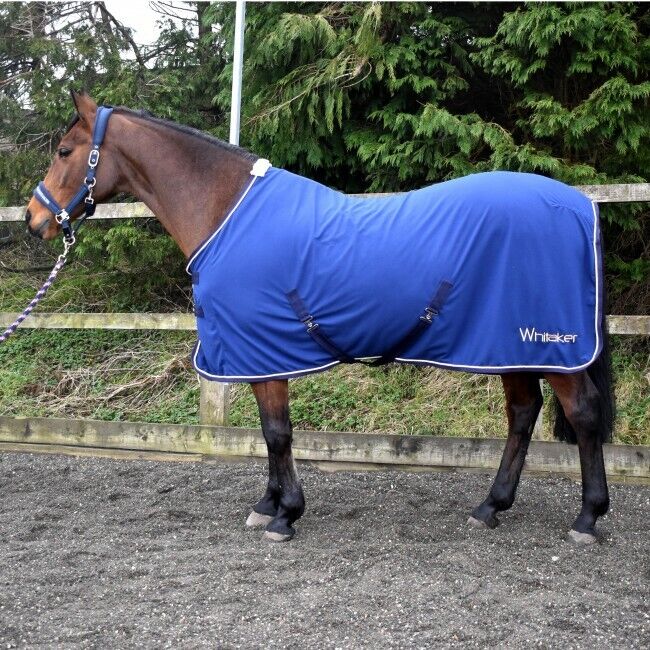 Picture of Whitaker Rydal Show Rug | Fleece Cooler Rug | Standard Neck | Blue