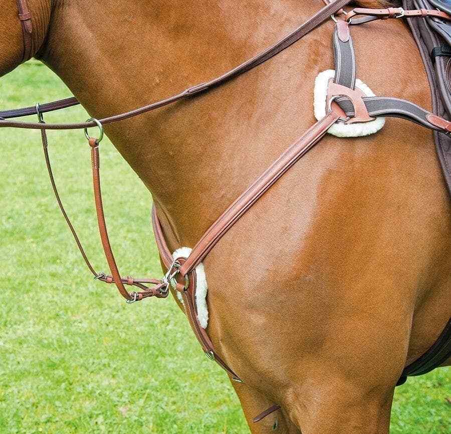Picture of Shires Avignon Leather 5 Point Breastplate | 3 Colours