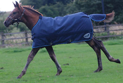 Picture of Masta Zing mediumweight foal turnout rug 170g