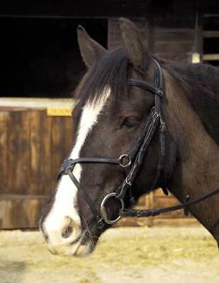 Picture of Rhinegold Leather Comfort Bridle Padded   All Sizes