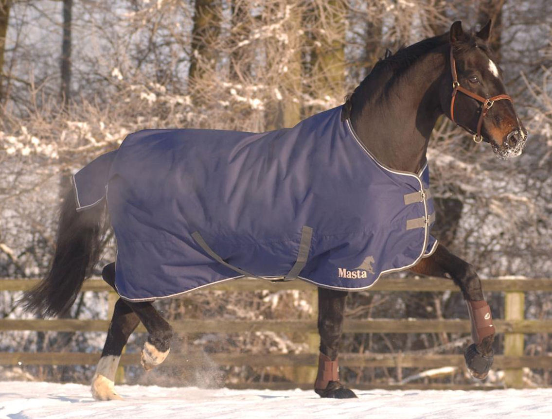 Picture of Masta Mediumweight Horse Turnout Rug,   Avante 170g 600 Denier
