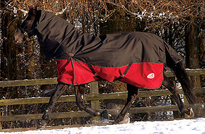 Picture of Masta Turnoutmasta 200g Full Neck 600 Denier Winter Mediumweight Turnout Rug