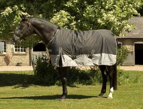 Picture of Rhinegold Thor 350G 1000 Denier Heavyweight Horse Turnout Rug Blanket 4 Colours
