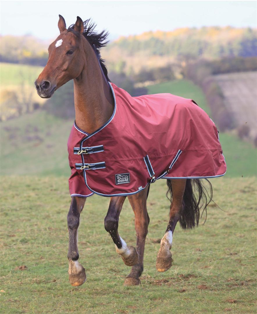Picture of Shires Tempest Lite Summer Turnout Rug horse pony lightweight waterproof outdoor