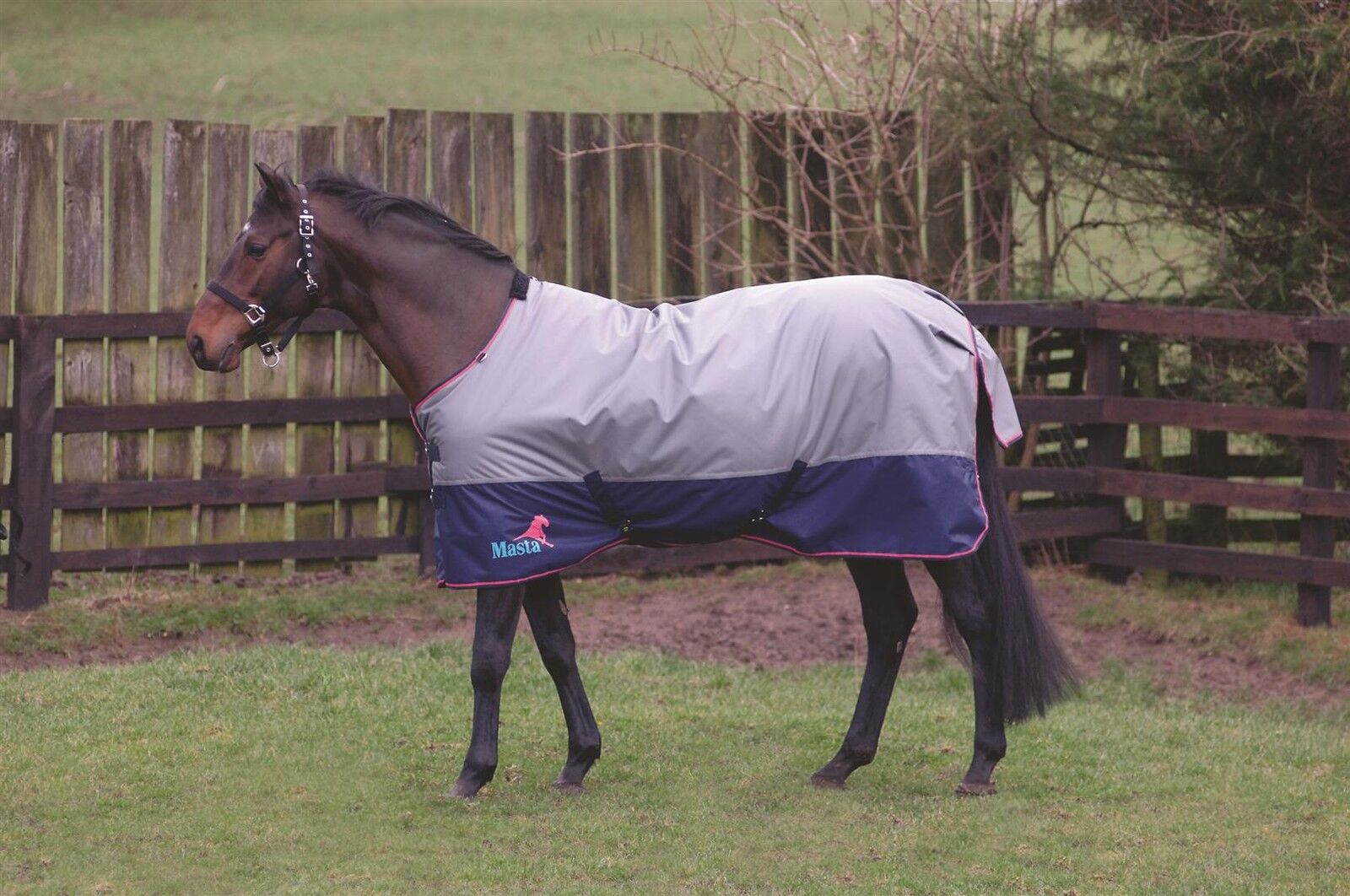 Picture of Masta Mediumweight Horse Turnout Rug,   Avante 170g 600 Denier