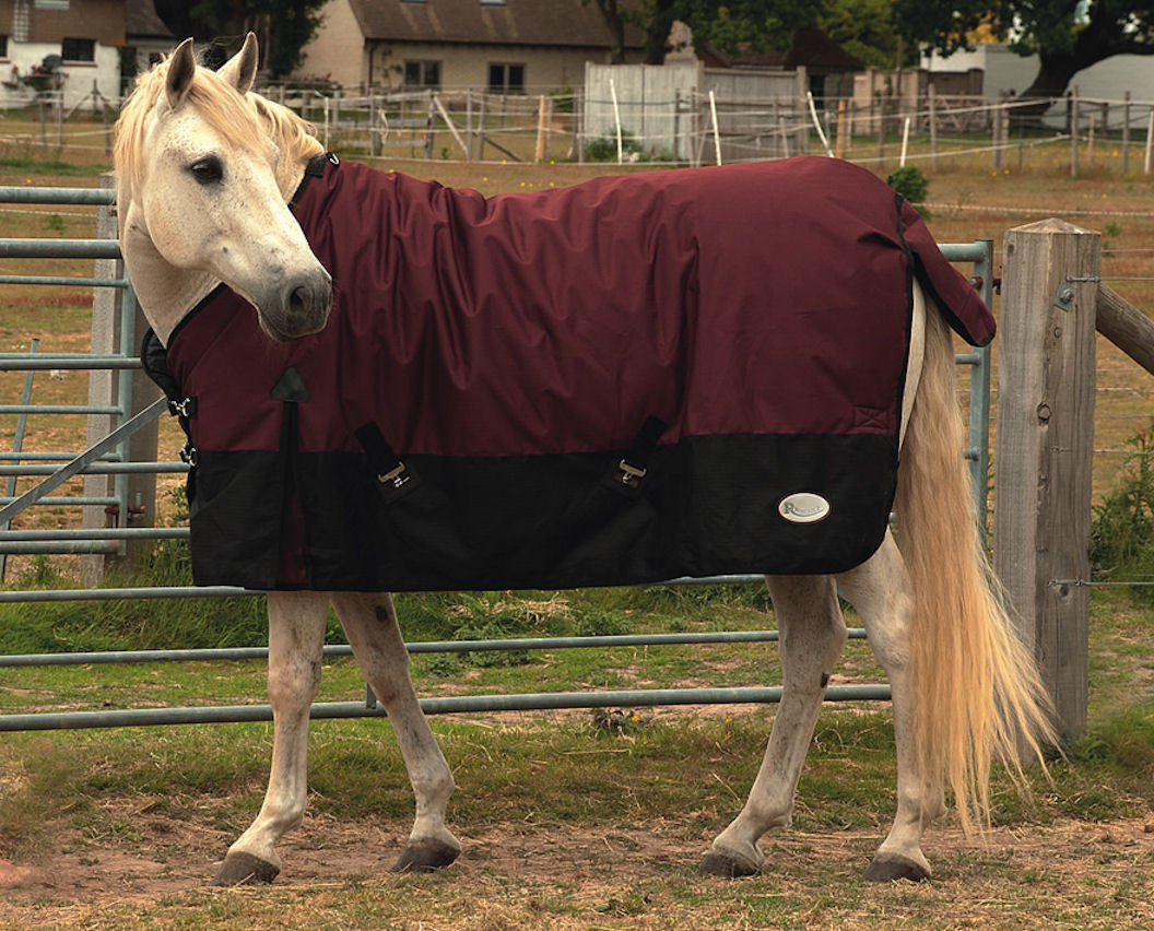 Picture of Rhinegold Thor 350G 1000 Denier Heavyweight Horse Turnout Rug Blanket 4 Colours