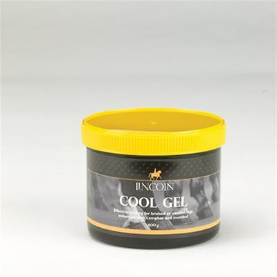 Picture of Lincoln Cool Gel Leg Application 400g
